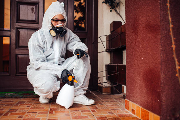 Reliable Cockroach Control contractor in Golden Valley, AZ by Nex Pest Control