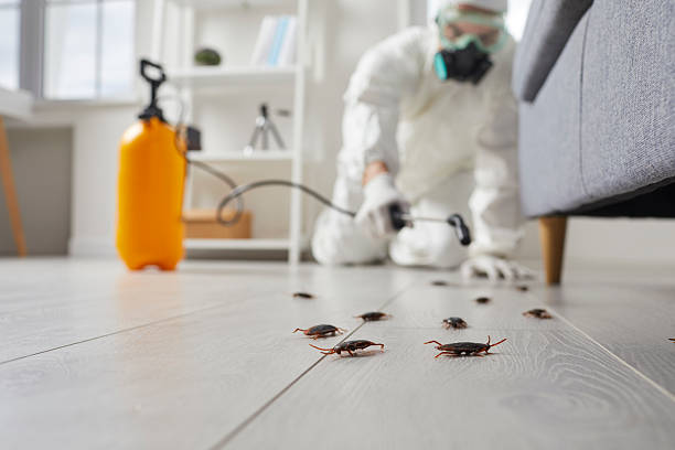 Trusted Emergency Pest Control service in Golden Valley, AZ - Nex Pest Control