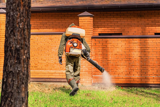 Trusted Cockroach Control service in Golden Valley, AZ - Nex Pest Control